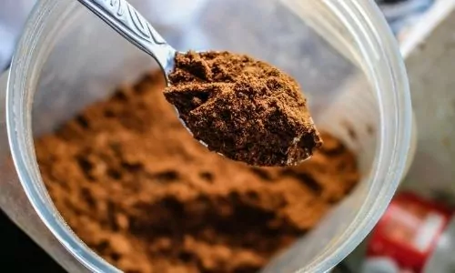 homemade protein powder in hindi