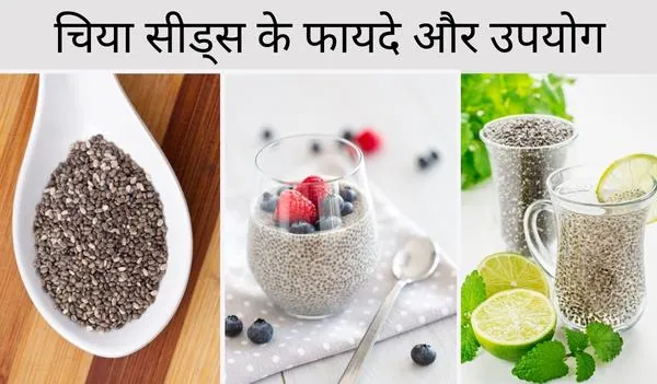 chia seed benefits in hindi