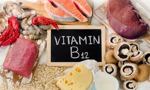 vitamin 12 foods